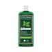 Logona Shampooing Purifiant Mélisse 250ml