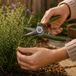 Kinzo Tuinschaar Snoeischaar - Bloemenschaar met Antislip Handgreep - Max. 4 mm - 17 cm