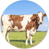 MousePadParadise Ronde muismat - Koeien - 20x20 cm