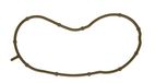 Gasket, Icecat Gasket, thermostat