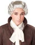 California Costumes Grijze barok edelman pruik voor mannen