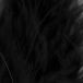 Baetis Baetis Plume Marabou S