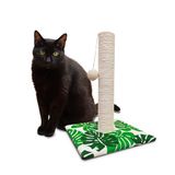 Green Leafs krabpaal voor katten, 30 x 30 x 42 cm, met spel