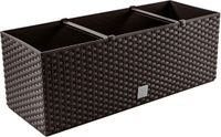 Prosperplast Rato-Case Rotan Bloemenpot DRTC500 440U-umbra
