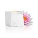 Jimmyjane Afterglow Massage Candle Pink Lotus