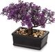 Ibenzoa® Sculpture d'arbre artificielle - Inspiration design japonais pour intérieur