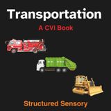 The Transportation CVI Book: Accessible book For Children With Cortical Visual Impairment