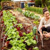 Unyqoos Famanu Tuintunnel van Glasvezel met Insectenwerend Net