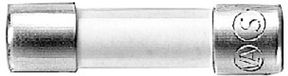 Siemens 8WA18227EF83 8WA1822-7EF83 Buiszekering (Ø x l) 5 mm x 20 mm 4 A 250 V/AC Traag -T- Inhoud 10 stuk(s)