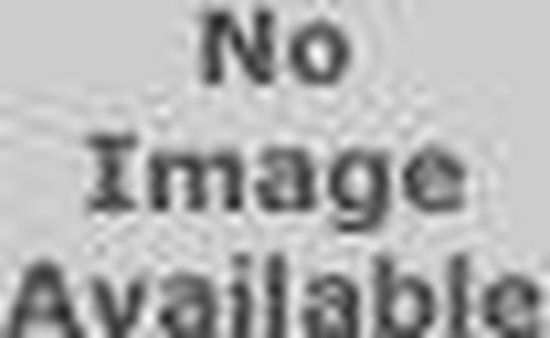 V Canto Extrait de Parfum / 100 ml / Unisex