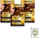 SYOSS Oleo Intense 6-78 Koperblond Coloration capillaire - 3 pièces