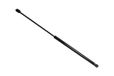 TarosTrade 229-0557-N-83979 gasveer voor achterklep