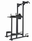 Toorx Professional WBX-B2800 Chin/Dip/Leg Raise