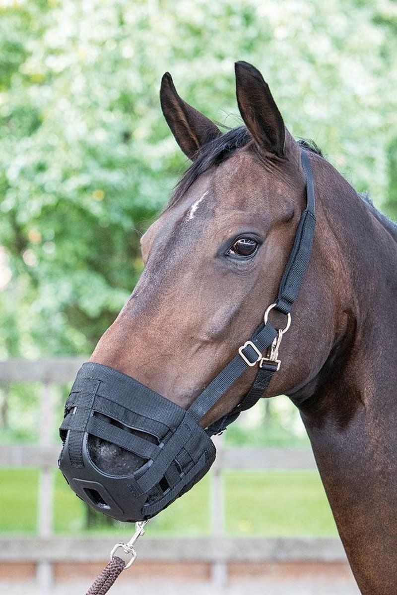 Harry's Horse Grazing Muzzle Air XS