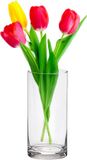 Alessandro Bloemenvaas klassiek - transparant glas - 12 x 26 cm - recht model - boeketvaas