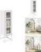vidaXL Hoge Kast Wit 36x39x123 cm Koudgewalst Staal
