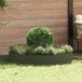 Maison Exclusive - Plantenring Olive Groen, 120 x 120 x 20 cm, gemaakt van koudgewalst staal