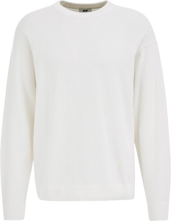 WE Fashion Heren regular fit gebreide trui met structuur