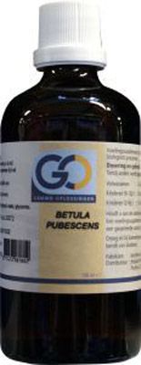 GO Betula Pubescens