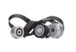 INA 529 0019 10 Timing Riemen | Compatibel met: CITROËN C4 I, PEUGEOT 307, 307 Break, 307 SW, 307 SW Kasten/Kombi