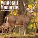 Willow Creek Press Whitetail Monarchs (Cerf) 2027 12 X 12 Calendrier Mural