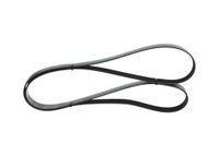 BOSCH Keilrippenriemen 1987946283