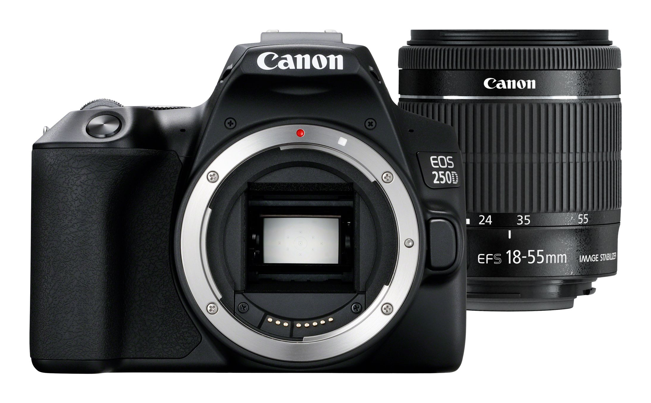 Canon EOS 250D + EF-S 18-55mm f/4-5.6 IS STM SLR Camera Kit - Zwart