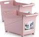 Plasticforte Boîte de rangement - Set de 2 - Rose - 45 x 24 x 27.5 cm - Plastique