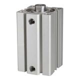 Korte RIEGLER Korte cilinder »ACQ« dubbelwerkende magneet, IG, zuiger Ø 63, Hub 55, aansluiting G 1/4, werkdr. 1-10 bar, temp. -20 °C tot 70 °C