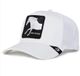 Goorin Bros. Platinum High Trucker cap - White