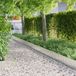 vidaXL Grasrand 1000 x 25 x 0,03 cm Gegalvaniseerd staal zilver