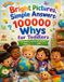 Bright Pictures, Simple Answers Paperback