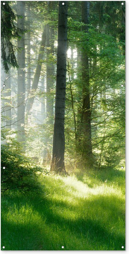 GreatGardenPosters Schuttingposter Natuur - Bomen - Bos - Groen - 100x200 cm - Tuindoek
