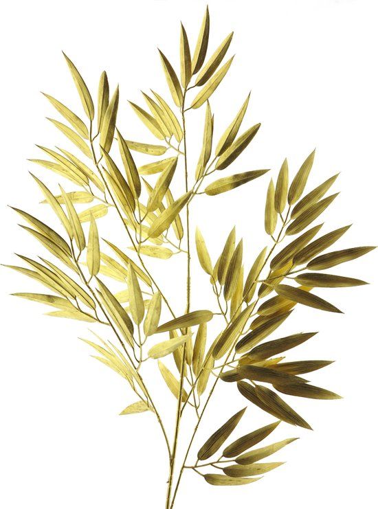 Erutan avon Bamboo spray gold 98cm
