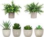 Unyqoos ® Set van 6 Realistische Kunstvetplanten in Stijlvolle Potten voor Diverse Interieurs