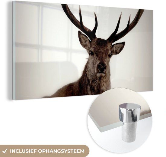 MuchoWow® Glass Painting 120x60 cm - Acrylic Glass Painting - Portrait - Deer - Antler - Photo on Glass - Paintings