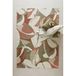 NOUS Living vloerkleed Tate (290x200 cm)