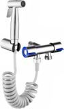 Famanu - Douche de bidet portable en acier inoxydable avec tuyau de 2 m et support mural, double valve