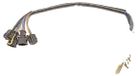 Metzger Kerstornament (8 cm binnendiameter)