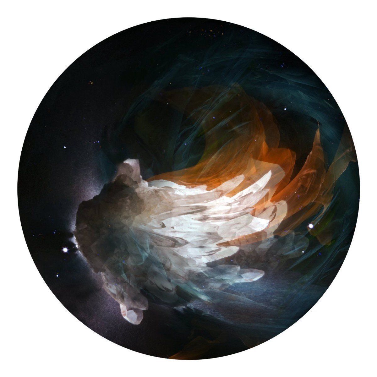 PIAS Nederland The Fauns - Lights (LP)