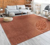 Paco Home Vloerkleed Woonkamer Effen Eenvoudig En Modern Laagpolig, Versch. Afmetingen Kleuren 160x220 cm