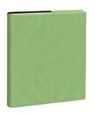 Quo Vadis Prestige Executive 2026 Weekplanner Agenda Marlow Groen 16x16cm