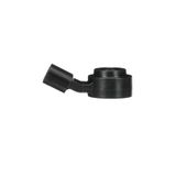 Delphi klittensensor AS10172