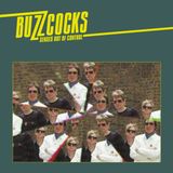 Suburban Buzzcocks Senses Out of Control