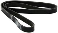 DAYCO 6PK1750 V-riem
