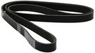 DAYCO 6PK1750 V-riem