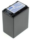 Batterie NP-FV100 pour Sony