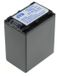 Batterie NP-FV100 pour Sony