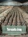 Terracotta Army: Guardians of Eternity – A Cinematic Photographic Journey Through China's Ancient Warriors