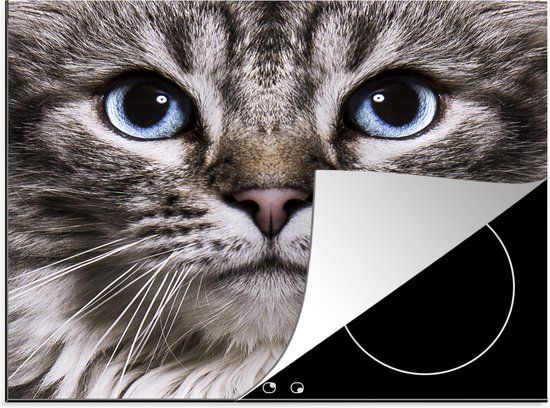 KitchenYeah® Inductie beschermer 59x52 cm - Kat - Blauw - Grijs - Inductiebeschermer